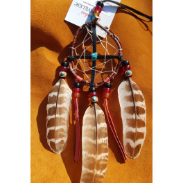 Weidenruten Traumfänger Medizinradkombination der Cherokee