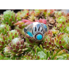 Ring der Navajo, Shadowbox, Bärentatze
