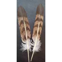 Grosse Adler Imitat, Airbrush-Federn-"Steinadler"