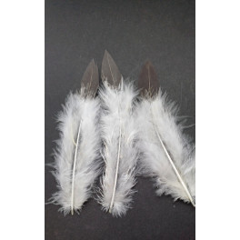 Kleine Adler-Flausch Imitat Airbrush-Federn 