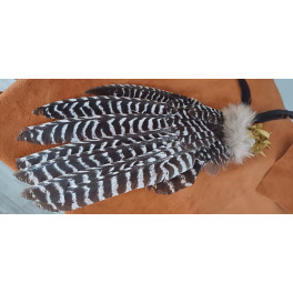 Räucherfächer der Navajo, aus einer Wildtruthahnschwinge B-Qualität