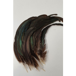 Hahnenschweiffedern grünbraun oszillierend - 1 Packung, lange, gebogene Federn