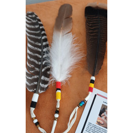 Feder der Lakota/Sioux