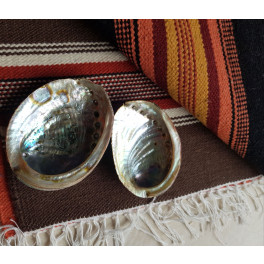 Kleine Abalone Muscheln als Räucherschalen