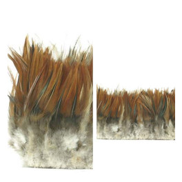 Zierhahnen-Federn braun - Packung in 2 Längen erhältlich