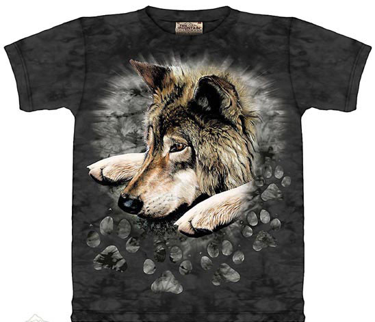 Bezlit Jungen T Shirt Mit Wolf Motiv Als Led Lichteffekt