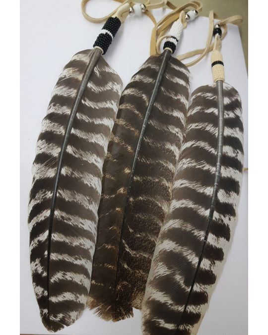  Feder der Lakota/Sioux