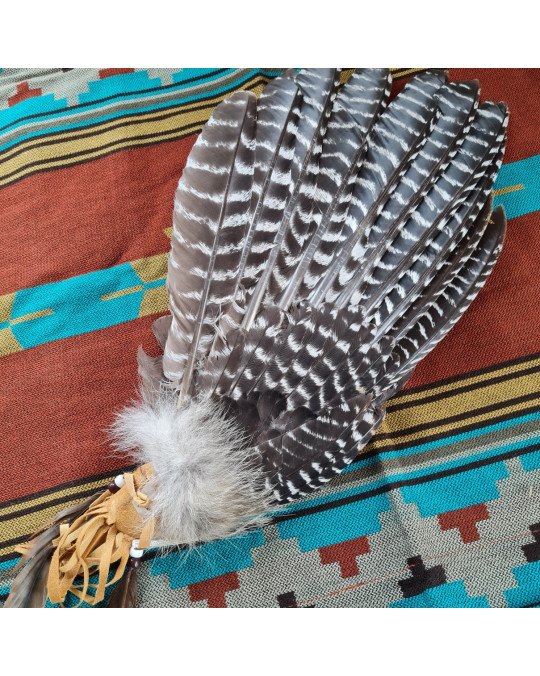 Räucherfächer der Navajo, aus einer Wildtruthahnschwinge