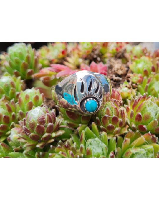 Ring der Navajo, Shadowbox, Bärentatze