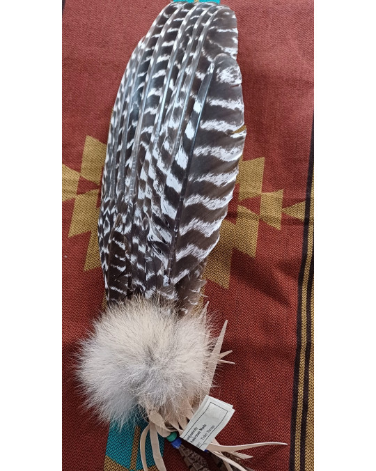 Räucherfächer der Navajo, aus einer Wildtruthahnschwinge