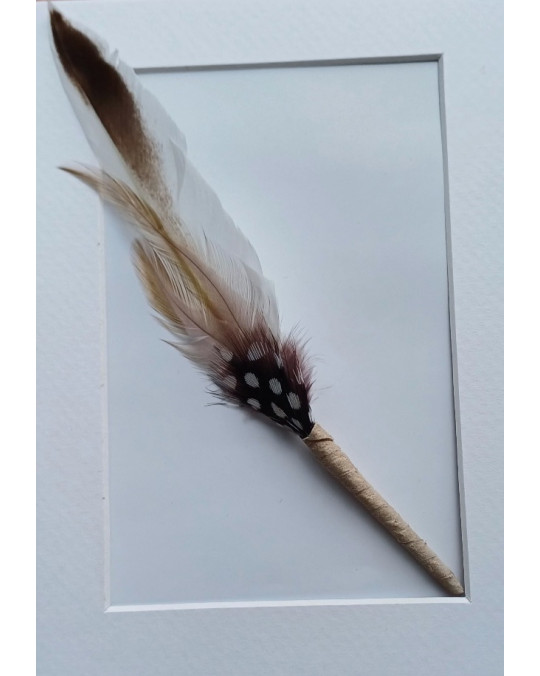 Kleine Federn mit Griff