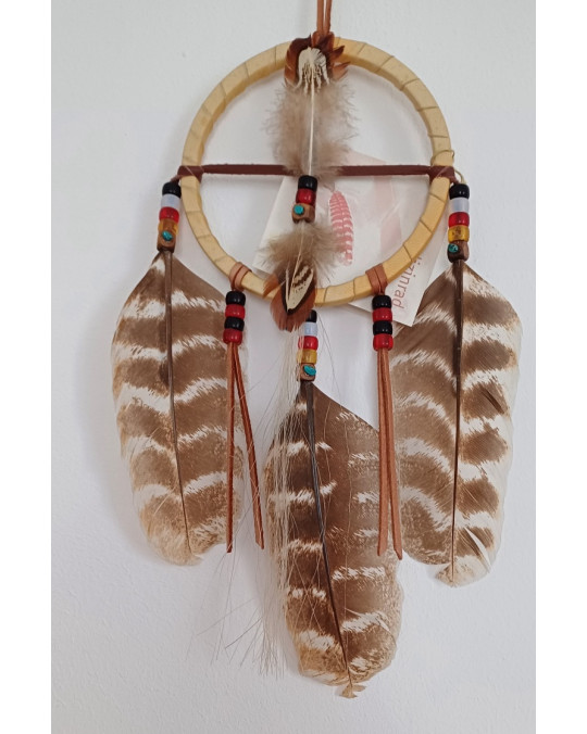 Medizinrad der Cherokee, hell, etwas ausgebleicht