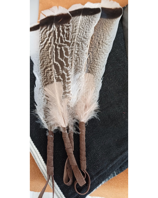 Feder "Tail" mit Aufhängeschlaufe, Wildtruthahn