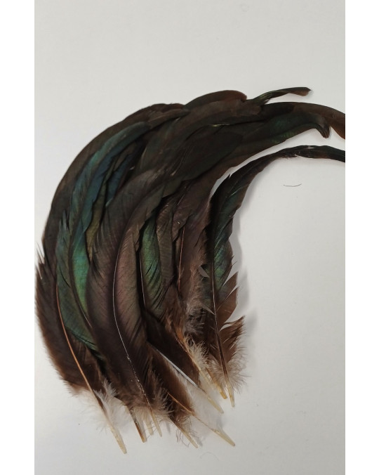 Hahnenschweiffedern grünbraun oszillierend - 1 Packung, lange, gebogene Federn