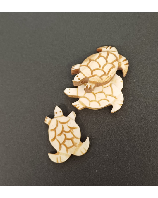 Knochen-Schildkröten