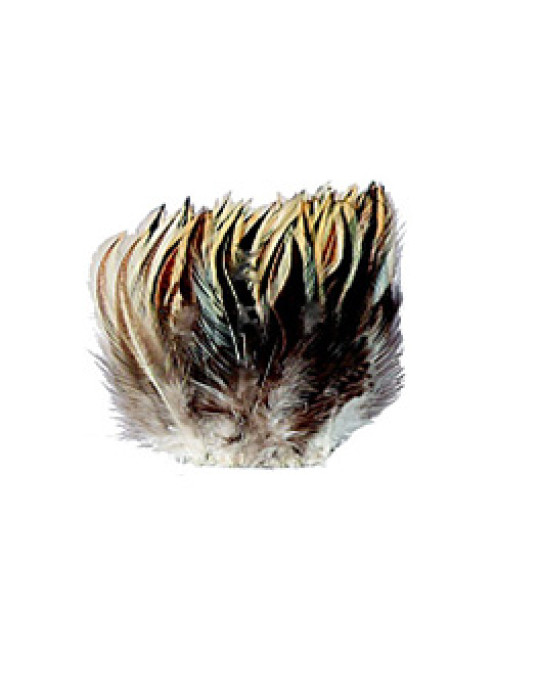 Zierhühner Federn klein, "Badger" Packung