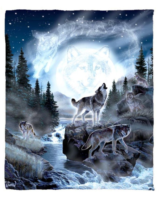  Kuschelige Decke  "Moon Wolves"
