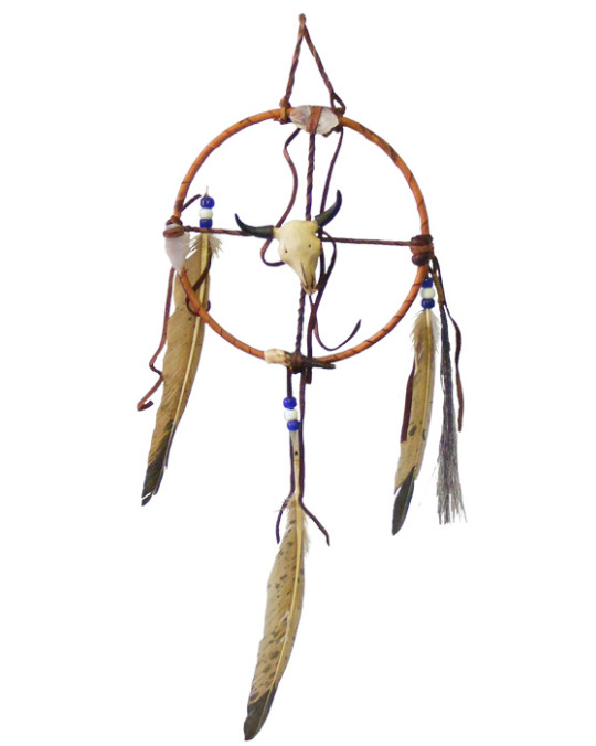 Medizinrad "Bison"