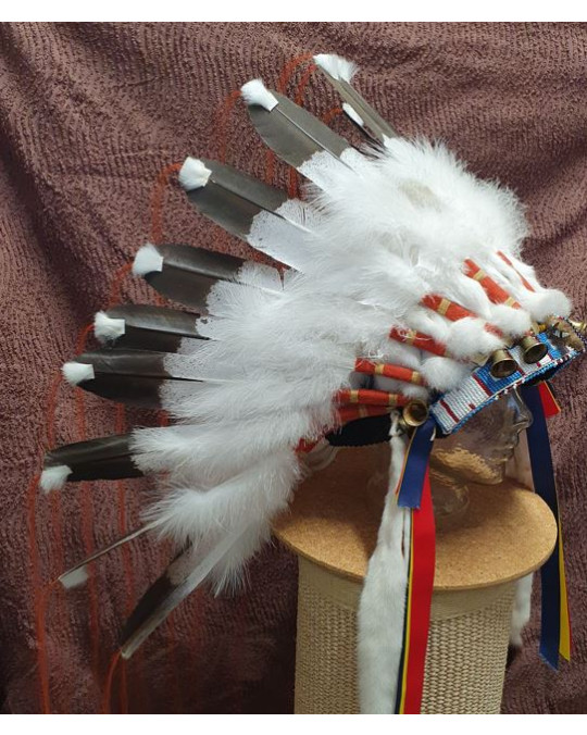 Kriegshaube, Warbonnet der Lakota (Sioux) 